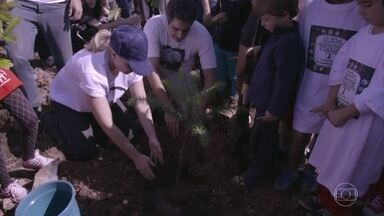 Estrelas- Programa de 22/07/2017 na íntegra - Angélica aprende a plantar árvores com a ONG Novas Árvores Por Aí. Junto com os voluntários da instituição, que promove o reflorestamento. Mas não foi só ela quem se dedicou a fazer o bem no programa. Otaviano Costa viajou até sua cidade natal, Cuiabá e participou como voluntário do projeto Entrega por Cuiabá, que ajuda moradores de rua com kits de higiene e comida.