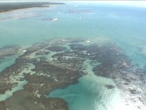 Costa dos corais e peixe-boi - Uma viagem pelo litoral do Rio Grande do Norte mostrando o trabalho dos biólogos que lutam para preservar o peixe-boi, espécie ameaçada de extinção.