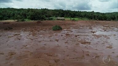 Depoimentos levam MP a afirmar que a tragédia em Brumadinho não foi acidente - O Fantástico teve acesso, com exclusividade, aos depoimentos prestados para a força-tarefa que apura as responsabilidades pela ruptura da barragem de Brumadinho, tragédia que ainda contabiliza seus mortos. Cinquenta e nove pessoas já foram ouvidas.