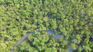 Saco do Mamanguá, em Paraty, tem mais de 80% de vegetação nativa - Área de transição entre o mar e a terra, o Saco do Mamanguá tem 8 quilômetros de extensão, possui 33 pequenas praias e é onde vivem oito comunidades.