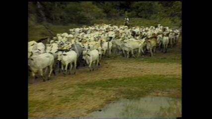 Globo Rural no Pantanal em 1984 - parte 4