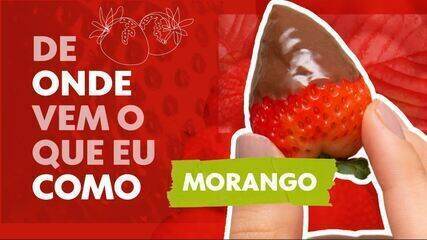 De onde vem o que eu como: morango