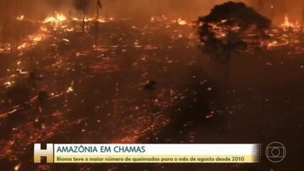 Amazônia tem o maior número de queimadas para o mês de agosto dos últimos 12 anos