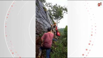 Cachorrinho é resgatado de rapel pelos bombeiros