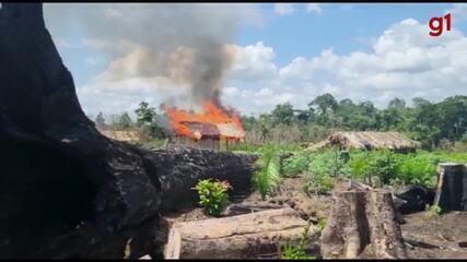 Operação IBAMA, Polícia Federa e MPF combate crimes ambientais em terra indígena no Pará