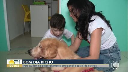 A importância de pets no desenvolvimento de crianças autistas