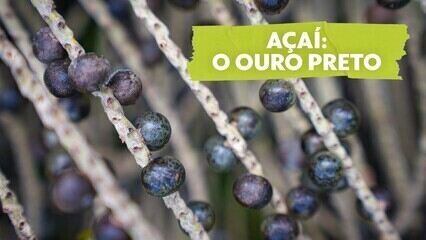 Como 'Malhação' e surfista lançaram a moda do açaí na década de 90