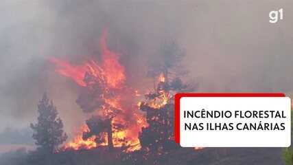 Incêndios florestais atingem La Palma, nas Ilhas Canárias