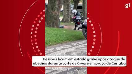 Pessoas ficam em estado grave após ataque de abelhas durante corte de árvore em Curitiba