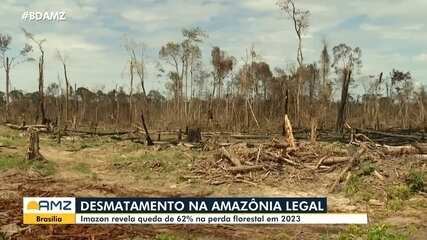 Imazon revela queda de 62% no desmatamento na Amazônia Legal em 2023