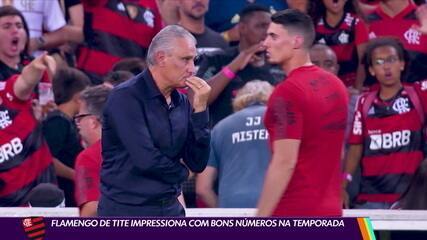 Flamengo de Tite impressiona com bons números na temporada