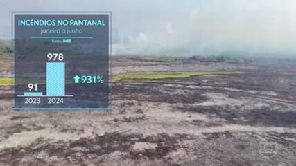 No Centro-Oeste do Brasil, Pantanal acumula o maior número de incêndios desde 2020