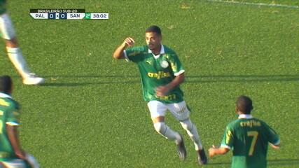 Aos 38 min do 2º tempo - Riquelme abre o placar para o Palmeiras contra o Santos