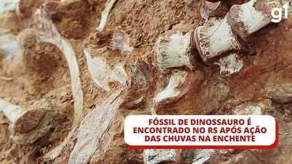 Fóssil de dinossauro é encontrado no RS após ação das chuvas na enchente