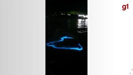 Fenômeno da bioluminescência em algas é registrado em Balneário Camboriú