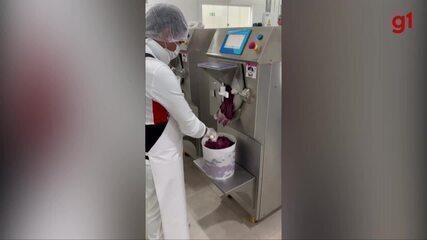 Produção de sorvete de açaí da Cairu no Pará