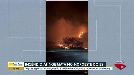 Vídeo mostra incêndio de grandes proporções em área de mata em Colatina, ES