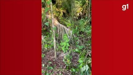 Passageiros de lancha sequestrada por piratas no Pará improvisam acampamento em ilha