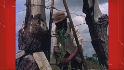 Trecho do documentário "Quilombo Mesquita", 1975, de Vladimir Carvalho