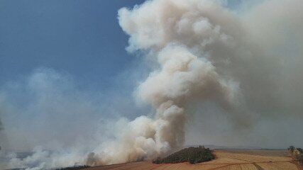 Os estragos provocados pelas queimadas e o risco de novos incêndios no interior de São Paulo