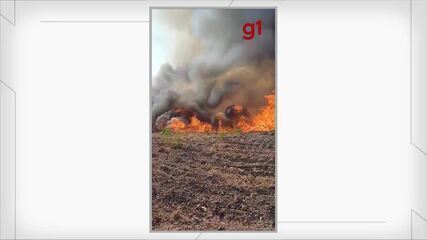 Dois brigadistas morrem após serem cercados por fogo durante combate a incêndio florestal 