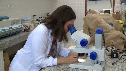 Universidade sertaneja: conheça projetos que transformaram a vida de estudantes da Univasf