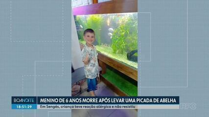 Menino de 6 anos morre depois de ser picado por abelha