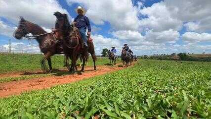 Cavalgada é lugar de valorizar a tradição