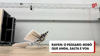 Conheça RAVEN, o pássaro-robô que anda, salta e voa