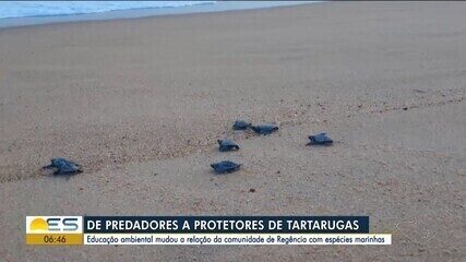 De predadores a protetores: nativos deixam de comer tartarugas após educação ambiental