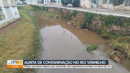 Suspeita de contaminação do Rio Vermelho causa alerta na cidade de Goiás