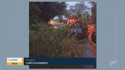 Chuva derruba árvore sobre carro na MGC-354 em Lavras