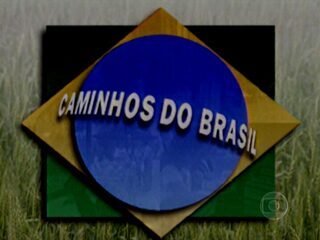 Webdoc sobre a série jornalística “Caminhos do Brasil”, de Miriam Leitão, com entrevistas exclusivas do Memória Globo.