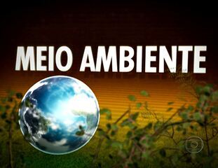 Estreia da coluna “Meio Ambiente”, em que o economista e ambientalista Sérgio Besserman participa ao vivo do telejornal e discute assuntos relativos às condições ambientais do Rio de Janeiro. Bom Dia Rio, 07/04/2011.