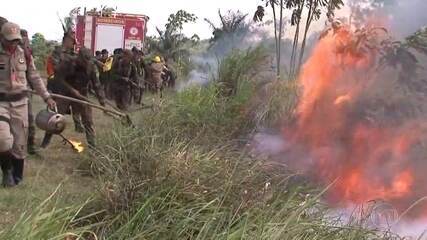 Bombeiros especializados no combate a incêndios florestais chegam à Amazônia