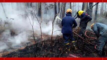 Bombeiros trabalharam nove dias no combate às chamas em março, no Rio Vermelho