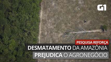 VÍDEO: pesquisa reforça que desmatamento da Amazônia prejudica o agronegócio brasileiro