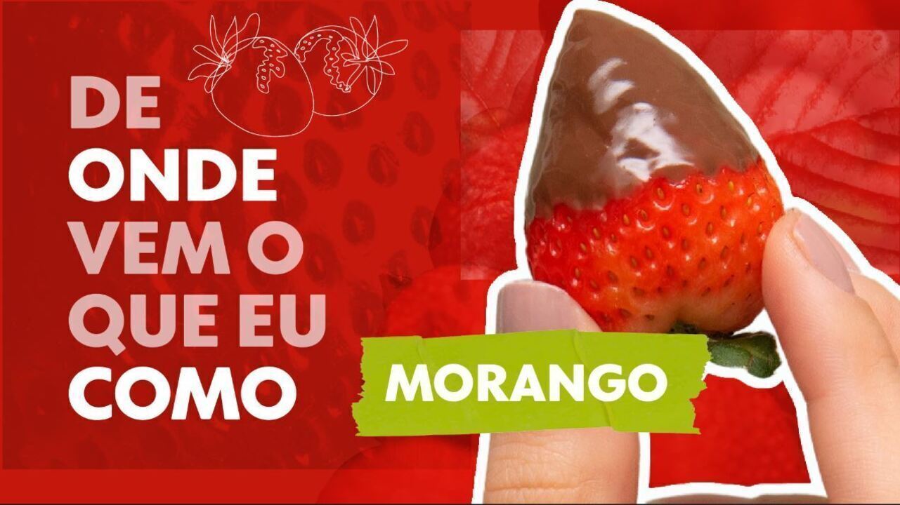 De onde vem o que eu como: morango