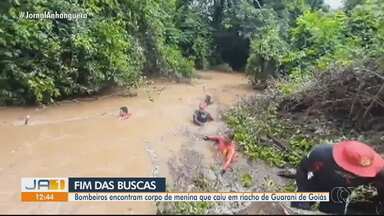 bombeiros encontram corpo de criança que sumiu em riacho em Guarani de Goiás - Segundo tenente que participou das buscas, menina foi localizada a 1km do local onde desapareceu, embaixo de um cipó. Corporação usou máquina agrícola para remover galhos do local.