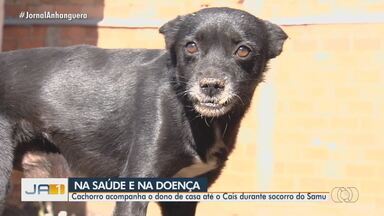 Cachorro acompanha o dono de casa até cais durante socorro do Samu, em Goiânia - O 'Fuscão' e seu melhor amigo Maurício tem uma amizade que nem doença separa.