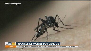 Goiânia tem maior número de mortes por dengue dos últimos seis anos - 25 pessoas morreram pela doença só neste ano na capital.