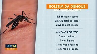 Paraná já tem mais de 35 mil casos de dengue - Também foram confirmados mais 52 casos de chikungunya