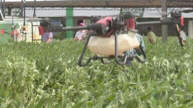 Conexão de internet via satélite e drone pulverizador - Novas tecnologias prometem otimizar trabalho no campo e aumentar produtividade; equipamentos foram apresentados em encontro de soluções para o agro, na região de Maringá.