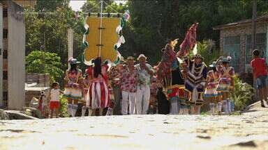 Carnaval de Pernambuco: sábado 03/02/2024 - Íntegra - Carnaval de Pernambuco: sábado 03/02/2024 - Íntegra