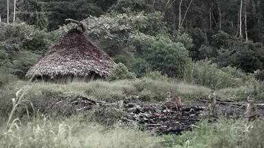 Edição de 02/04/2024 – Saúde Yanomami - Pouco mais de um ano depois da declaração de emergência de saúde pública no território indígena Yanomami, o Profissão Repórter foi até Roraima para mostrar a atual condição de vida e de saúde dos indígenas da região.