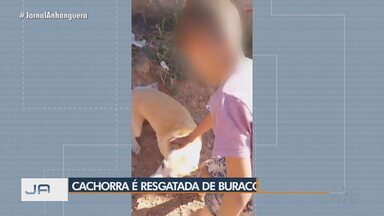 Cadela é resgatada de uma buraco - O resgate aconteceu em Uruaçu, na região norte de Goiás.