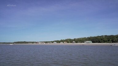 É do Pará Verão: Pirabas - O É Do Pará encerra a sua temporada Verão em São João de Pirabas, nordeste paraense, vamos acompanhar as aventuras pelas belíssimas praias, pelo mangue, a pluralidade cultural, o famoso mel de abelhas natural da amazônia, das histórias dos moradores e de quem se apaixonou por esse paraíso. No quadro “Hora da Broca”, Ailton Cardoso, cozinheiro, prepara um saboroso “Peixe ao molho de Camarão”.