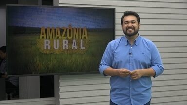 Assista ao Amazônia Rural deste domingo, 21 de julho de 2024 - Assista ao Amazônia Rural deste domingo, 21 de julho de 2024