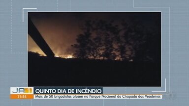 Hectares do Parque Nacional da Chapada dos Veadeiros são destruídos em incêndio - Mais de 50 brigadistas estão atuando no local.