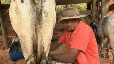 Programa de 29/09/2024 - As notícias sobre a vida no campo e o agronegócio. O Globo Rural apresenta assuntos como a criação de animais, o andamento das safras, as cotações do mercado, entre outros.